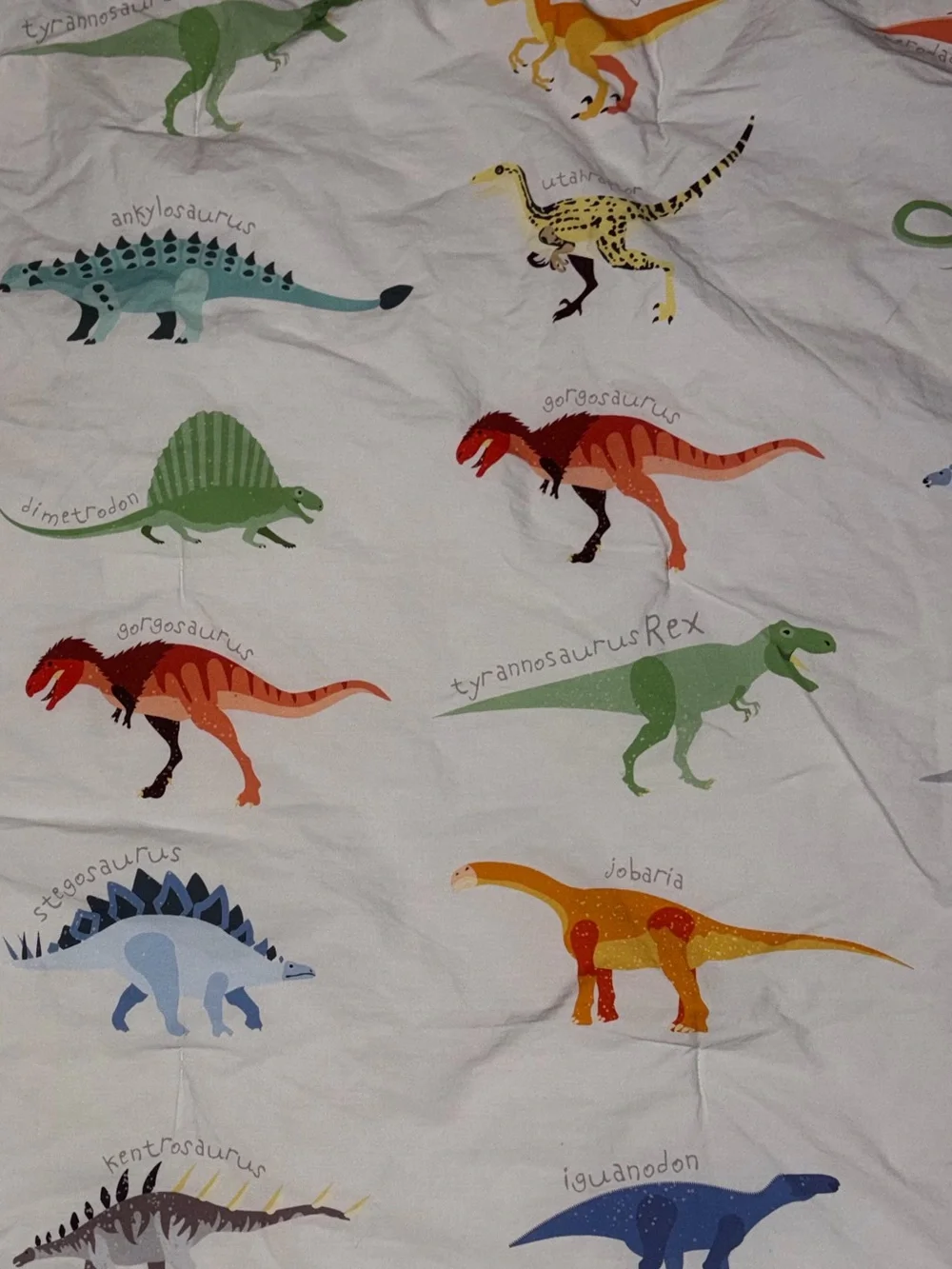 Pottery Barn Dinosaur Comforter